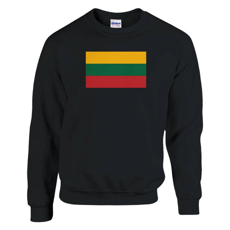 Sweat-shirt drapeau lituanie coton mélangé broderie douce
