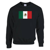 Sweat-shirt drapeau mexique coton mélangé broderie douce