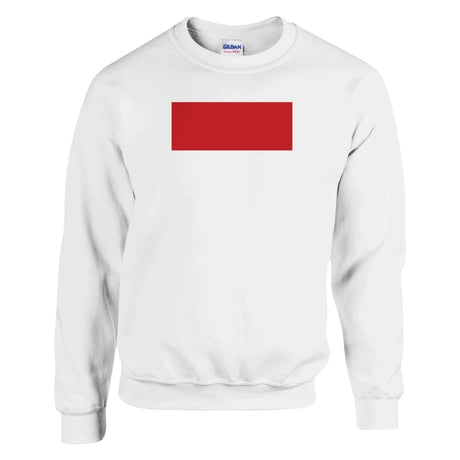 Sweat-shirt drapeau monaco coton mélangé brodé doux