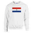 Sweat-shirt drapeau paraguay coton mélangé confort brodé