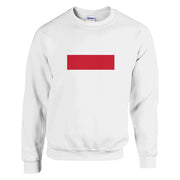 Sweat-shirt drapeau pologne coton mélangé brodé doux