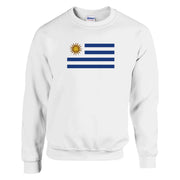 Sweat-shirt drapeau uruguay coton mélangé broderie douce