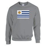 Sweat-shirt drapeau uruguay coton mélangé broderie douce