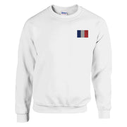 Sweat-shirt france broderie couleur coton mélangé doux