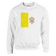 Sweat-shirt vatican mélange doux brodé coton confortable