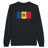 T-shirt à manches longues Drapeau de la Moldavie - Pixelforma 