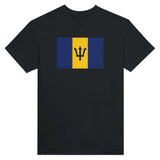 T-shirt drapeau barbade brodé en coton mélangé élégant