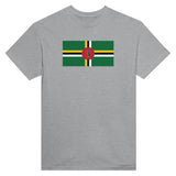 T-shirt drapeau dominique brodé en coton mélangé élégant