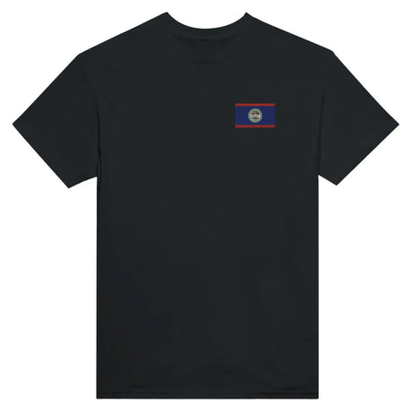 T-shirt drapeau du belize en broderie - pixelformaflag