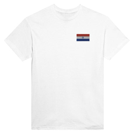 T-shirt Drapeau du Paraguay en broderie - Pixelforma