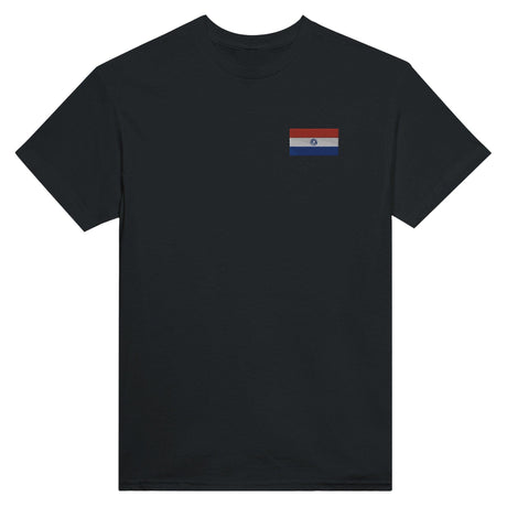 T-shirt Drapeau du Paraguay en broderie - Pixelforma 