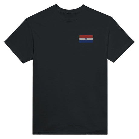 T-shirt Drapeau du Paraguay en broderie - Pixelforma