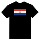 T-shirt Drapeau du Paraguay - Pixelforma