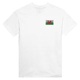 T-shirt Drapeau du pays de Galles en broderie - Pixelforma