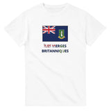 T-shirt drapeau îles vierges britanniques en texte - pixelforma