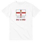 T-shirt drapeau irlande du nord en texte - pixelforma