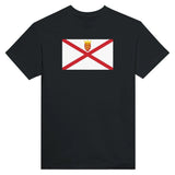 T-shirt drapeau jersey brodé en coton mélangé