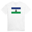 T-shirt drapeau lesotho brodé coton mélangé manches longues