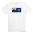T-shirt drapeau montserrat coton mélangé brodé élégant