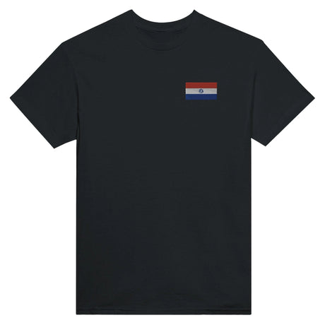 T-shirt drapeau paraguay broderie couleur coton épais