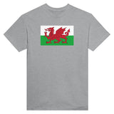 T-shirt drapeau pays de galles brodé coton mélangé