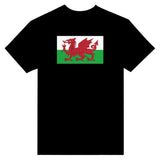 T-shirt drapeau pays de galles brodé coton mélangé