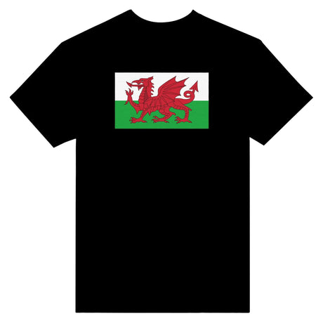 T-shirt drapeau pays de galles brodé coton mélangé