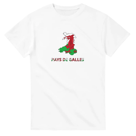 T-shirt drapeau pays de galles en carte - pixelforma