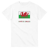 T-shirt drapeau pays de galles en texte - pixelforma