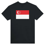 T-shirt drapeau singapour coton mélangé brodé