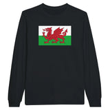 T-shirt manches longues drapeau pays de galles coton mélangé