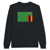 T-shirt manches longues zambie couleur coton mélangé doux