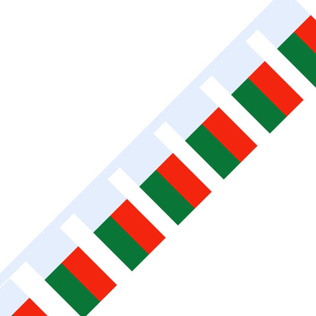 Guirlande Drapeau de Madagascar en plusieurs tailles - Pixelforma 