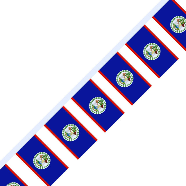 Guirlande Drapeau du Belize en plusieurs tailles - Pixelforma 